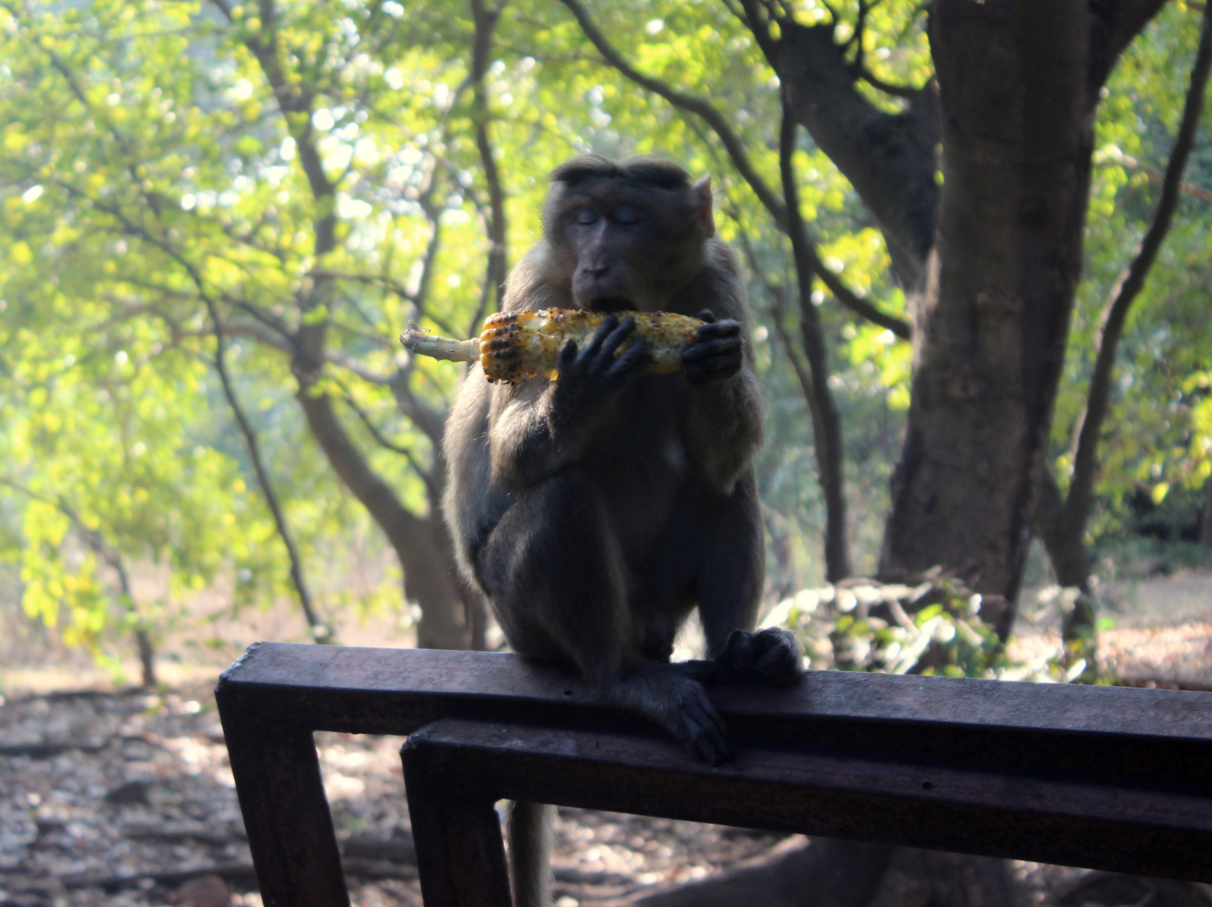 Elephanta Island